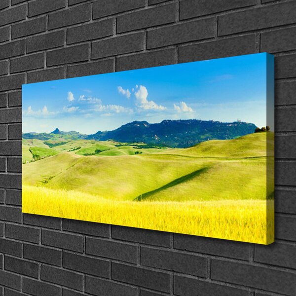 Obraz Canvas Dedina hory príroda 100x50 cm