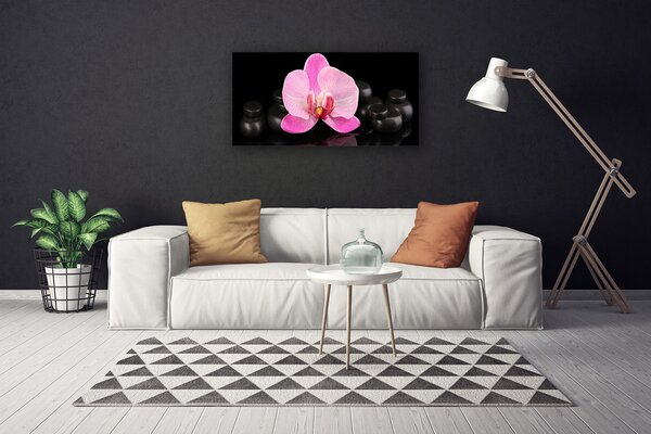Obraz Canvas Kvet kamene rastlina 100x50 cm