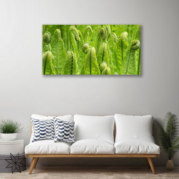 Obraz Canvas Rastlina príroda 100x50 cm