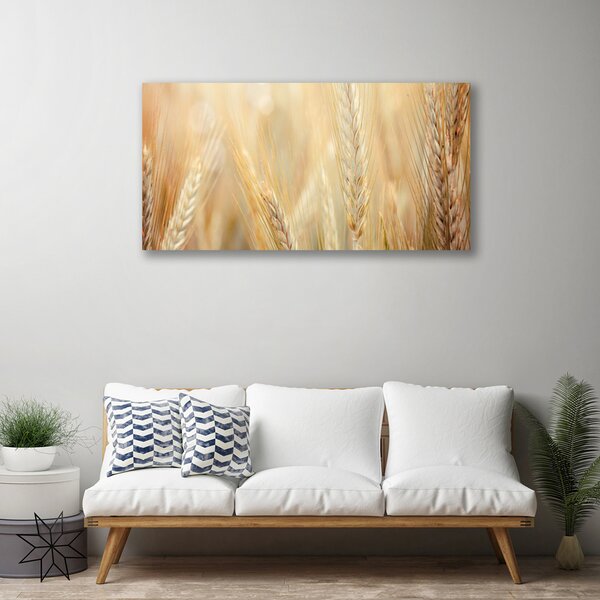 Obraz Canvas Pšenica rastlina príroda 100x50 cm