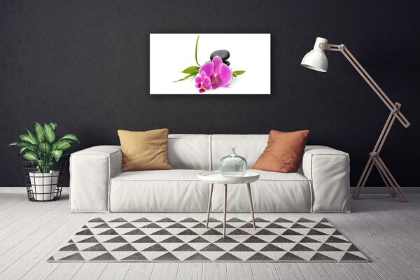 Obraz Canvas Kvet kamene rastlina 100x50 cm