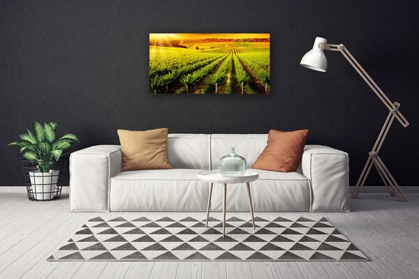 Obraz Canvas Pole príroda 100x50 cm
