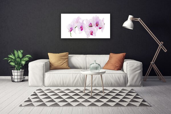 Obraz Canvas Kvety rastlina príroda 100x50 cm