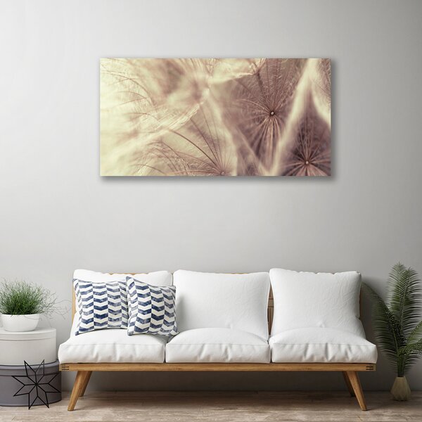 Obraz Canvas Púpava rastlina 100x50 cm