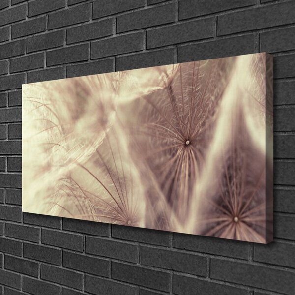 Obraz Canvas Púpava rastlina 100x50 cm