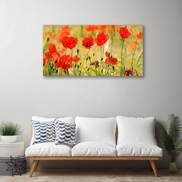 Obraz Canvas Maky rastlina príroda 100x50 cm