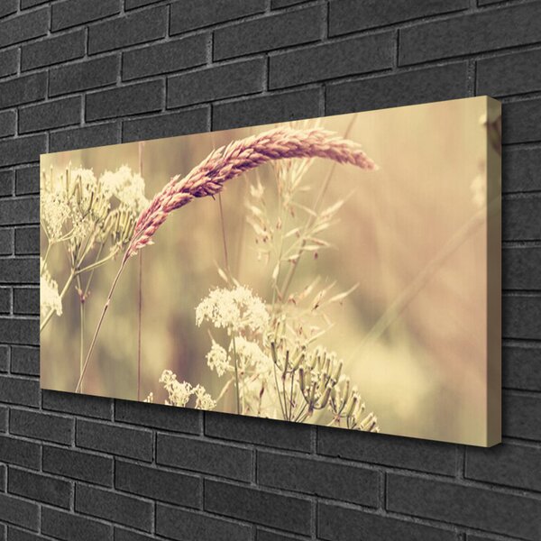 Obraz Canvas Divoké rastliny príroda 100x50 cm