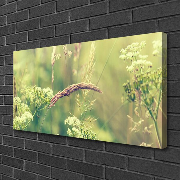 Obraz Canvas Divoké rastliny príroda 100x50 cm