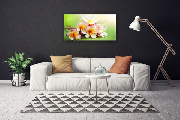 Obraz Canvas Kvety rastlina príroda 100x50 cm