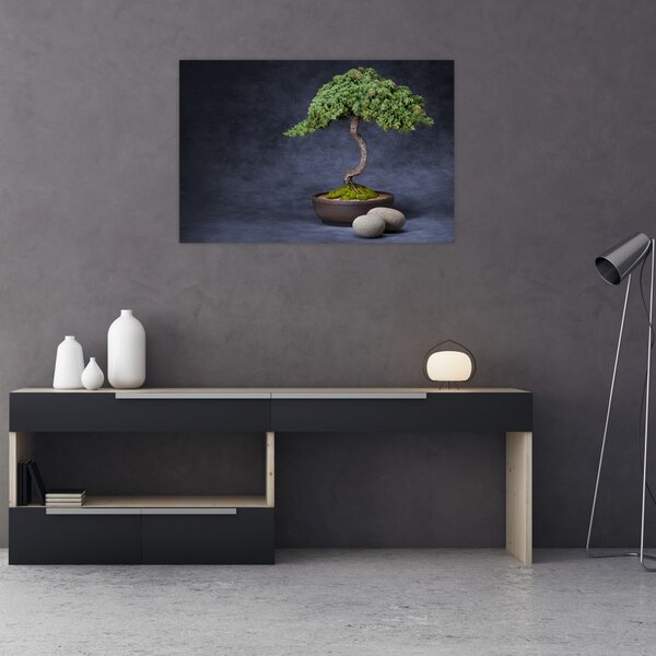 Obraz - Bonsai (90x60 cm)