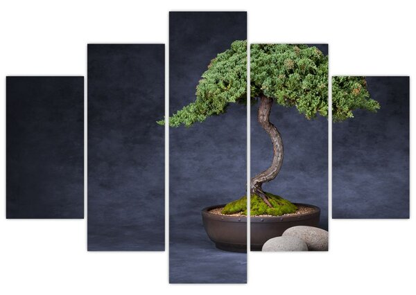 Obraz - Bonsai (150x105 cm)