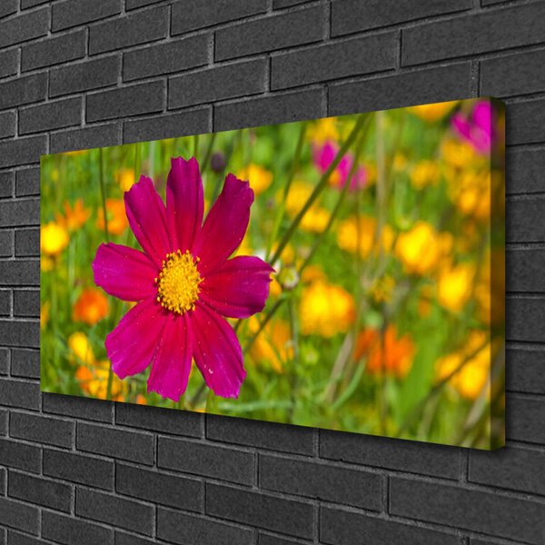 Obraz Canvas Kvet rastlina príroda 100x50 cm