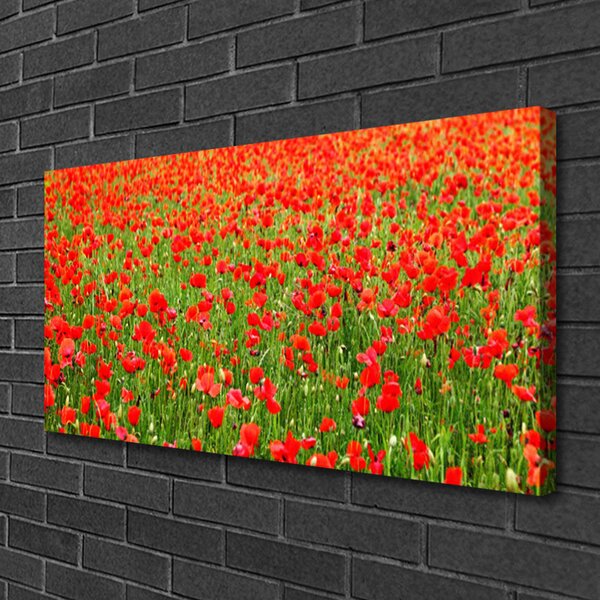 Obraz Canvas Maky rastlina príroda 100x50 cm