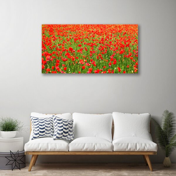Obraz Canvas Maky rastlina príroda 100x50 cm