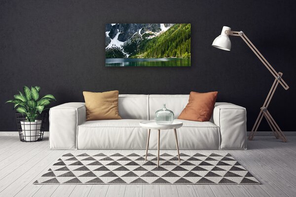 Obraz Canvas Jazero les hory príroda 100x50 cm