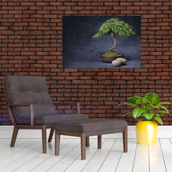 Obraz - Bonsai (90x60 cm)