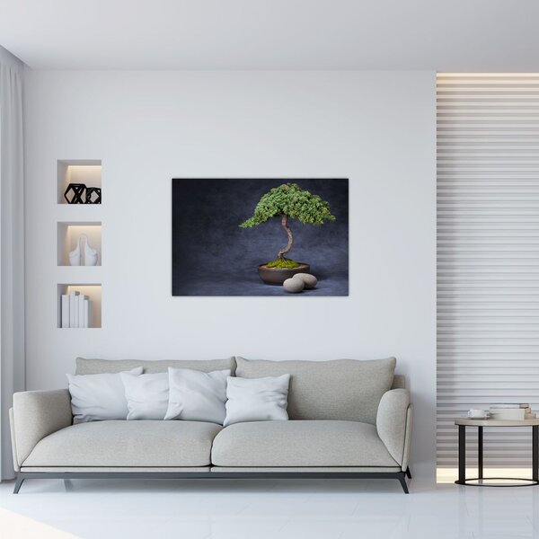 Obraz - Bonsai (90x60 cm)