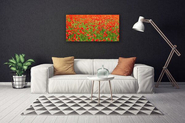 Obraz Canvas Maky rastlina príroda 100x50 cm