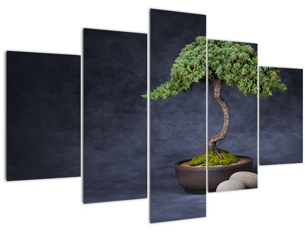 Obraz - Bonsai (150x105 cm)