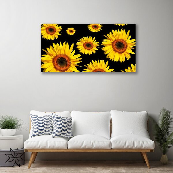 Obraz Canvas Slnečnica rastlina príroda 100x50 cm