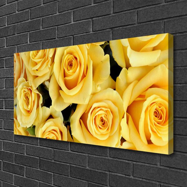 Obraz Canvas Ruže kvety rastlina 100x50 cm