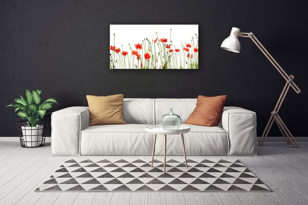 Obraz Canvas Maky rastlina príroda 100x50 cm