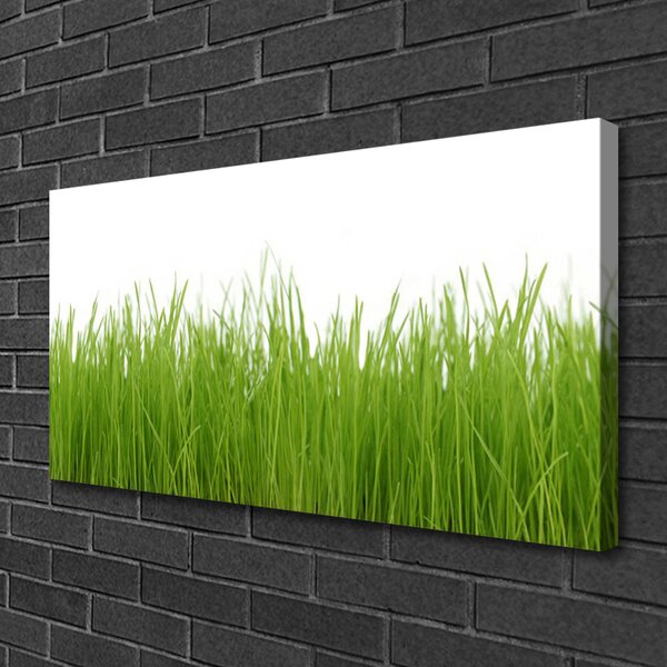 Obraz Canvas Tráva rastlina príroda 100x50 cm