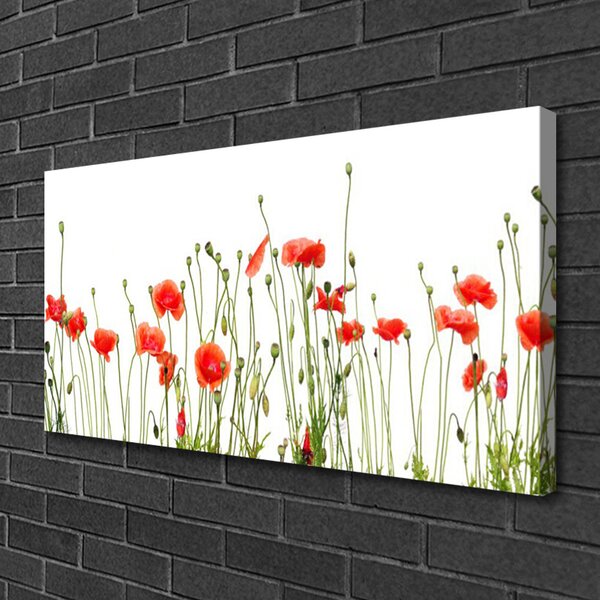 Obraz Canvas Maky rastlina príroda 100x50 cm