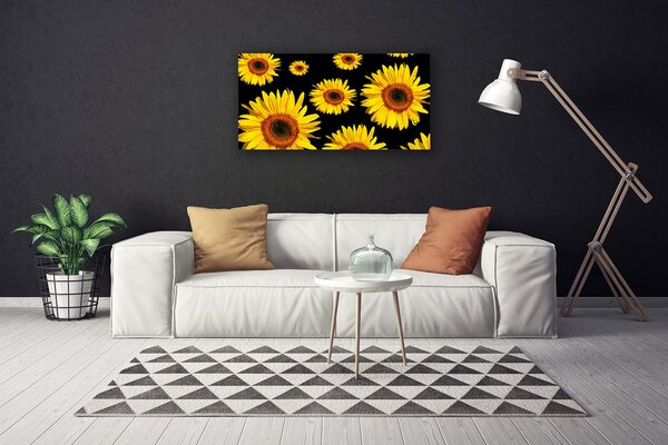 Obraz Canvas Slnečnica rastlina príroda 100x50 cm