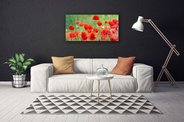 Obraz Canvas Maky rastlina príroda 100x50 cm