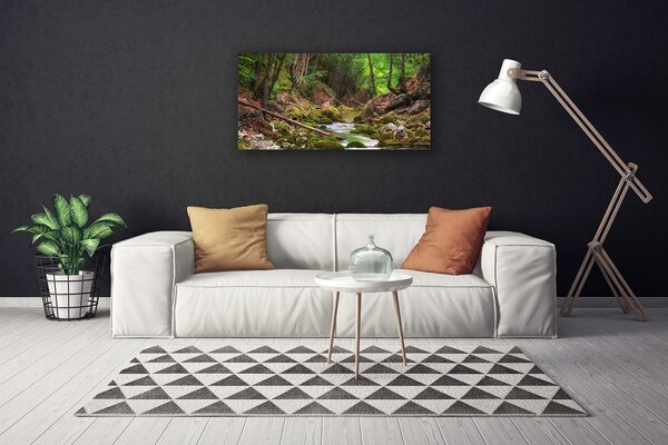 Obraz Canvas Les mech príroda 100x50 cm