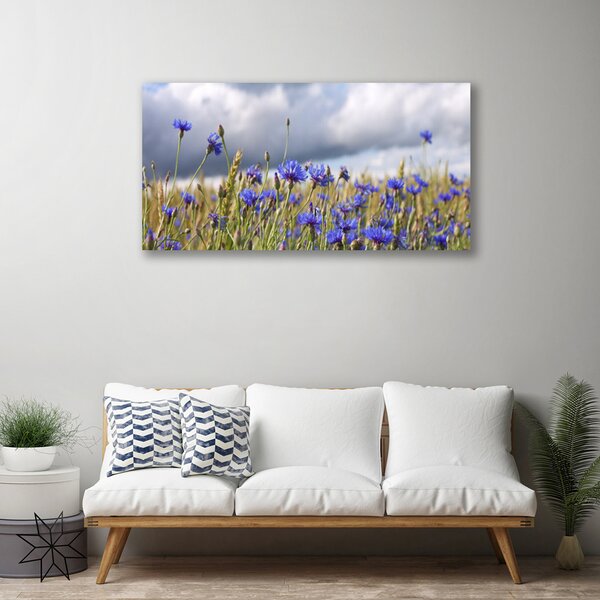 Obraz Canvas Kvety rastlina príroda 100x50 cm