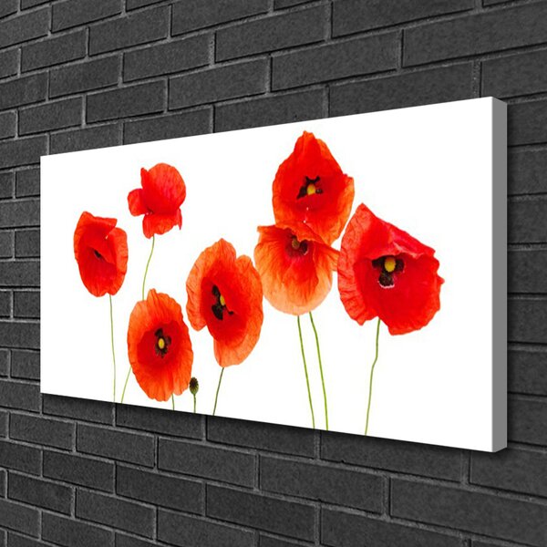 Obraz Canvas Maky rastlina príroda 100x50 cm