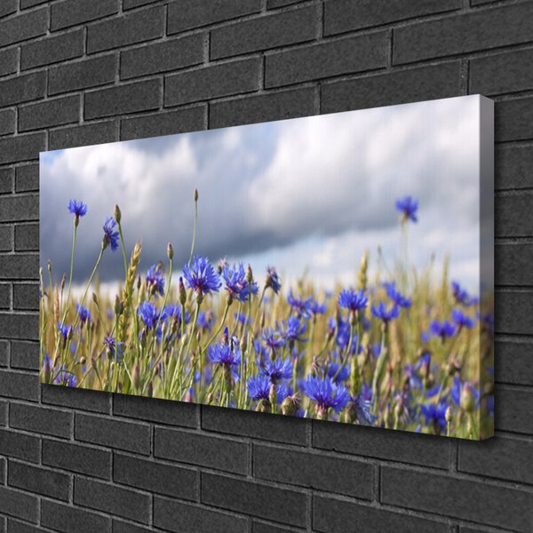 Obraz Canvas Kvety rastlina príroda 100x50 cm