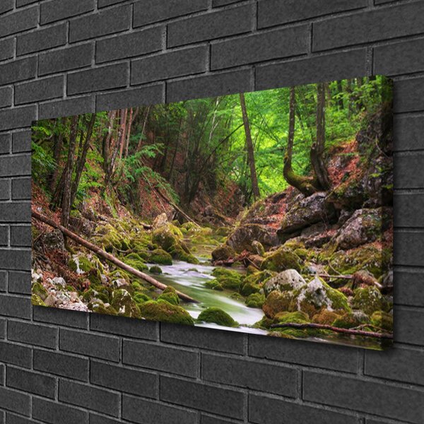 Obraz Canvas Les mech príroda 100x50 cm