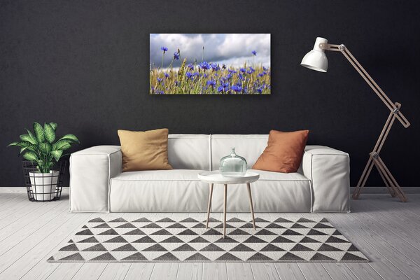Obraz Canvas Kvety rastlina príroda 100x50 cm