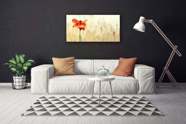Obraz Canvas Maky rastlina príroda 100x50 cm