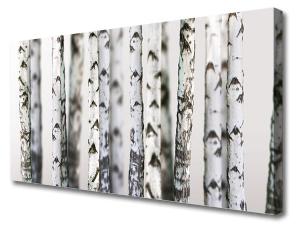 Obraz Canvas Stromy príroda 125x50 cm