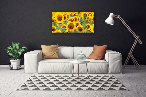 Obraz Canvas Slnečnica rastlina príroda 100x50 cm