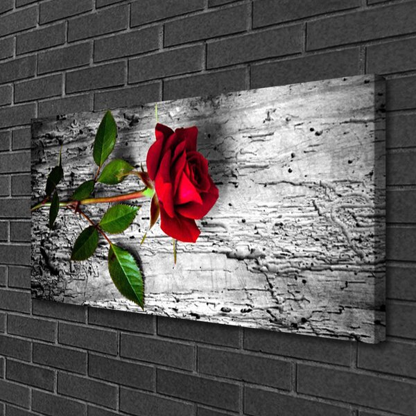 Obraz Canvas Ruže kvet rastlina 100x50 cm