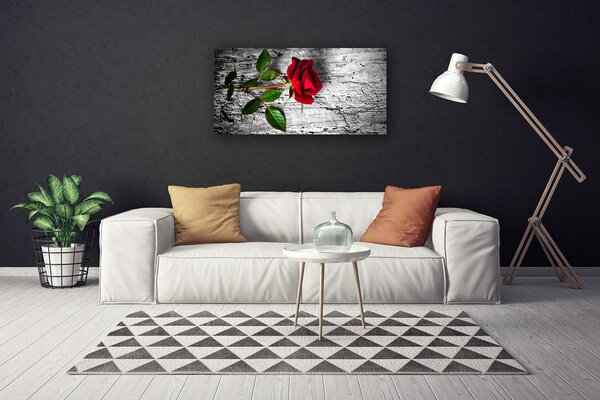 Obraz Canvas Ruže kvet rastlina 100x50 cm
