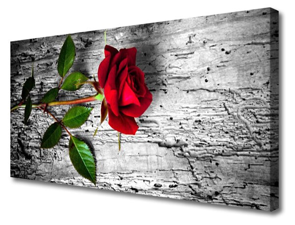 Obraz Canvas Ruže kvet rastlina 100x50 cm