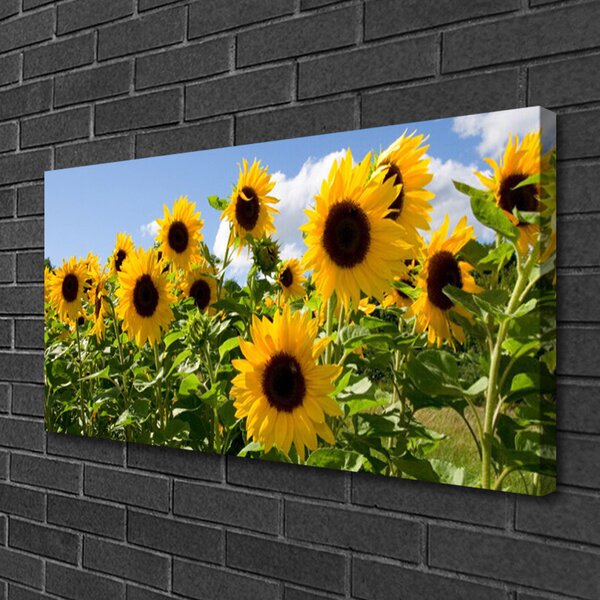 Obraz Canvas Slnečnica kvet rastlina 100x50 cm