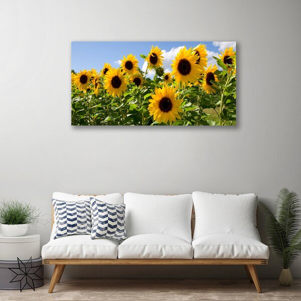Obraz Canvas Slnečnica kvet rastlina 100x50 cm
