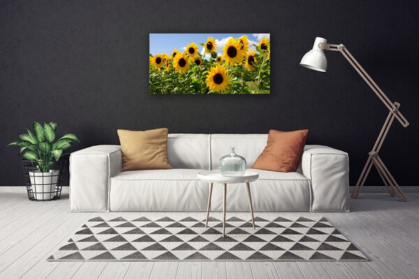 Obraz Canvas Slnečnica kvet rastlina 100x50 cm