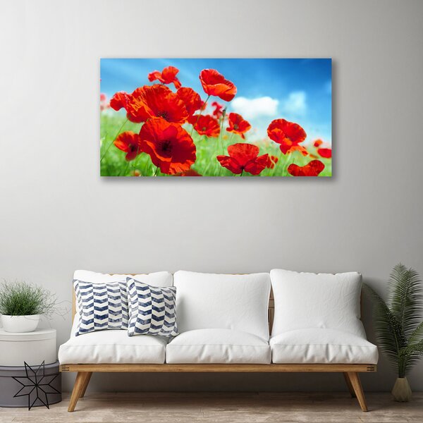 Obraz Canvas Maky rastlina príroda 100x50 cm