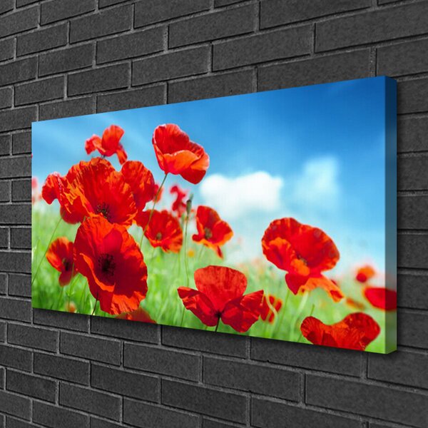Obraz Canvas Maky rastlina príroda 100x50 cm