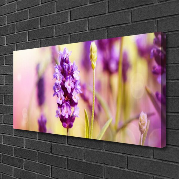 Obraz Canvas Kvety rastlina príroda 100x50 cm