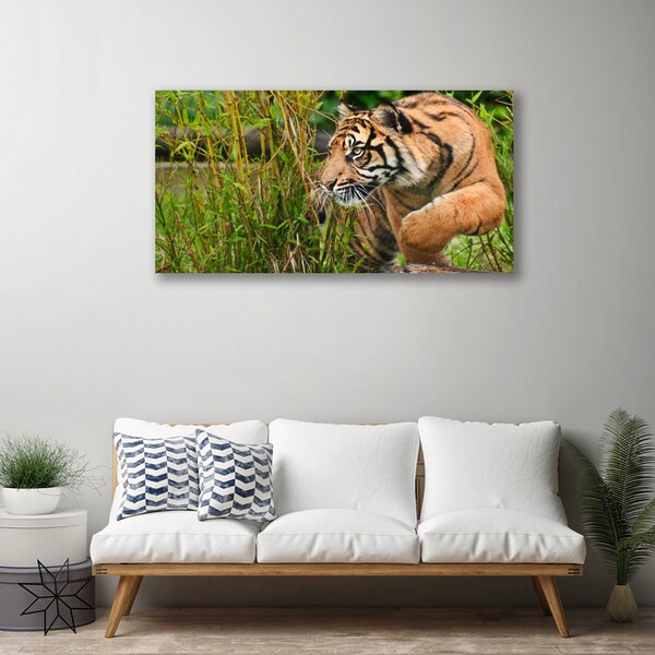 Obraz Canvas Tiger zvieratá 100x50 cm