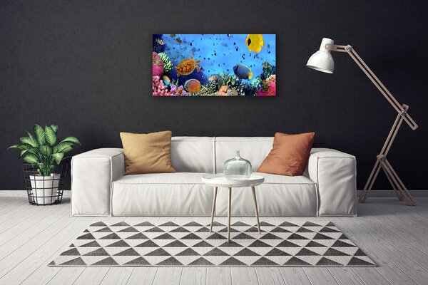 Obraz Canvas Koralový útes príroda 100x50 cm